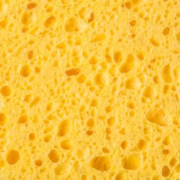 Texture of organic yellow sponge Stock Photos