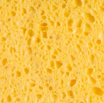 Texture of organic yellow sponge Stock Photos