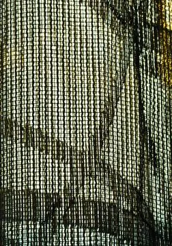 Texture of an outdoor curtain with parallel threads Photos