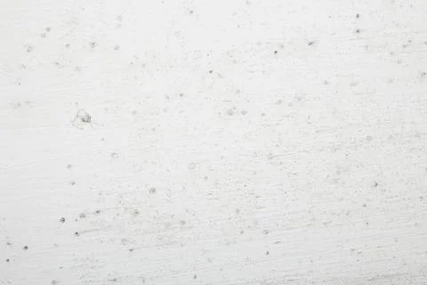 Texture of painted wall with mildew. Stock Photos