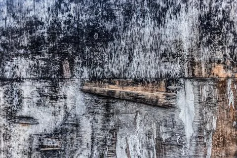 Texture of painted wood. Texture of old weathered plywood. Abstract background Stock Photos