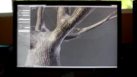 Texture Painting 3D Tree Vídeo Stock 77433298