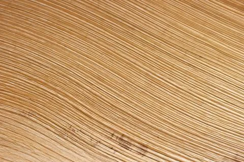 Texture of palm limb Stock Photos