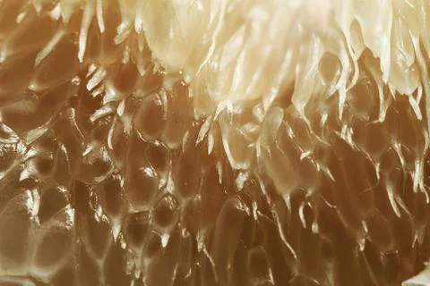 Texture of pamelo pulp Foto stock