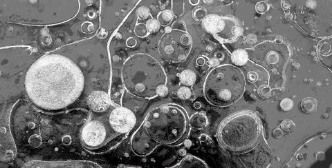 Texture pattern background white Winter, river ice air bubbles stagnant. drawing Stock Photos