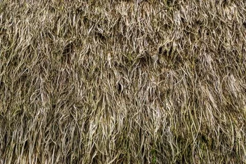 Texture pattern of a classical thatched roof, Vintage architecture background Stock Photos