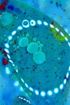 Texture pattern created by bubbles on a blue background. Stock Photos