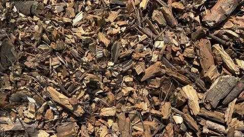 Texture pattern of small pieces of wood. Stock Photos