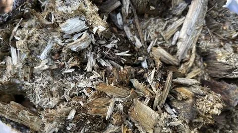 Texture pattern of small pieces of wood. Stock Photos