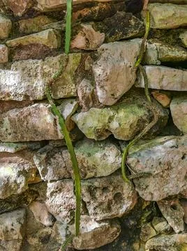 Texture pattern of Tulum ruins Mayan site temple pyramids Mexico. Stockfoto's