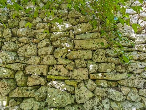 Texture pattern of Tulum ruins Mayan site temple pyramids Mexico. Foto stock