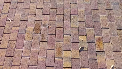 The texture of the paved, brick, stone, block road surface for the pedestrian Stock Footage 164835028