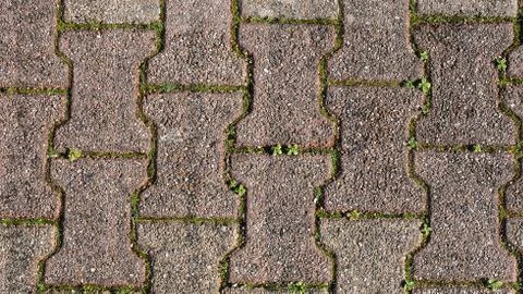 Texture of pavement with moss, grass or weeds. Background with free space for Stock Photos
