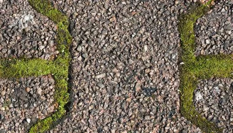 Texture of pavement with moss, grass or weeds. Background with free space for Stock Photos