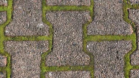 Texture of pavement with moss, grass or weeds. Background with free space for Stock Photos
