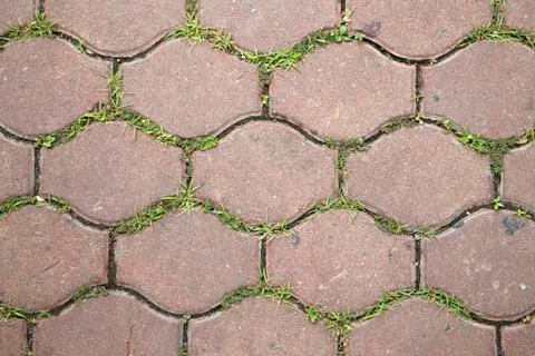Texture of pavement tile with small grass in between Stock Photos