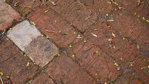Texture of paving red brick. Slow circular movement. Sidewalk made of paving Stock Footage 265190463