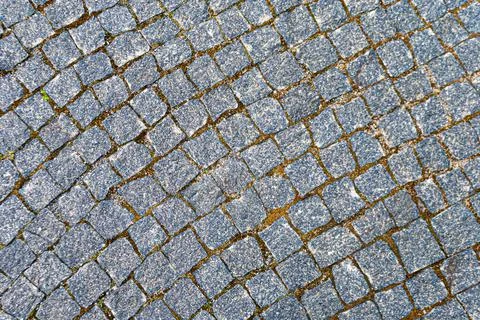The texture of the paving sector in the form of an arc on the street Stock Photos