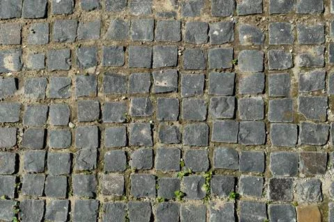 The texture of paving slabs made of natural gray stone of square shape. Stock Photos