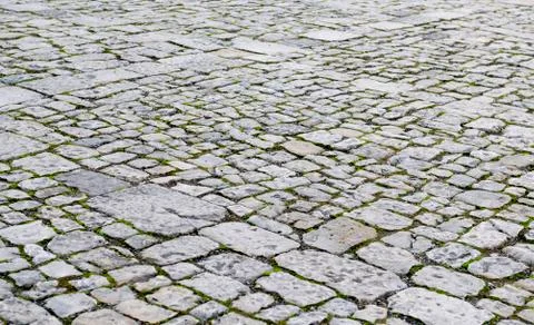 The texture of paving slabs Stock Photos