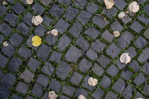 Texture paving stone Stock Photos