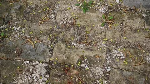 Texture of paving stones. Slow circular movement on the stones of a paved street Stock Footage 265108171