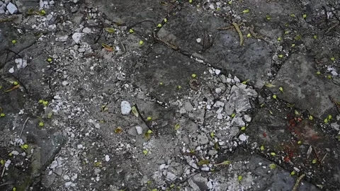 Texture of paving stones. Slow circular movement on the stones of a paved street Stock Footage 265108204