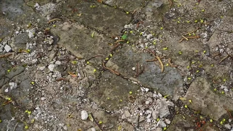 Texture of paving stones. Slow circular movement on the stones of a paved street Stock Footage 267158173