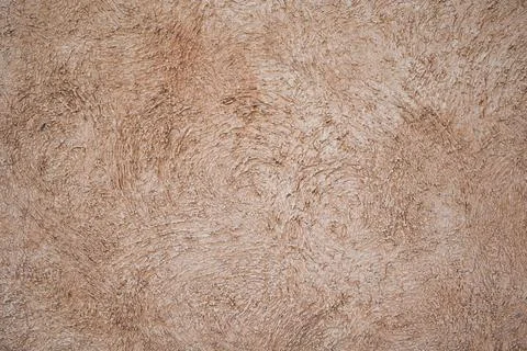 Texture of Peach color cladding stucco wall Stock Photos