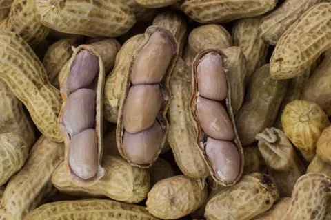 Texture of peanut Stock Photos