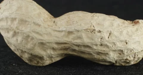 The texture of peanuts close-up. Macro nut. Vídeo Stock 165648744