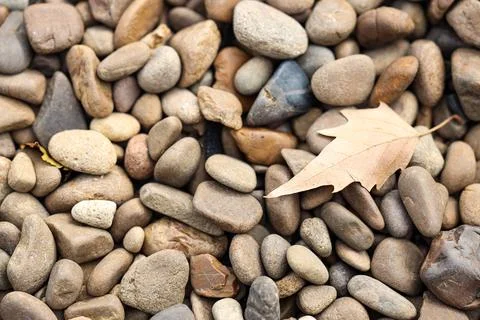 Texture of pebbles with autumn leaf as background, closeup 写真素材