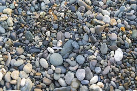 The texture of the pebbles in close-up as a background Stock-Fotos