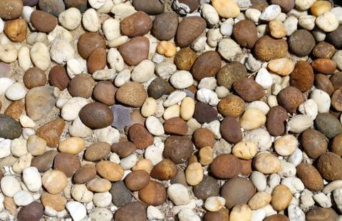 The texture of the pebbles Stock Photos