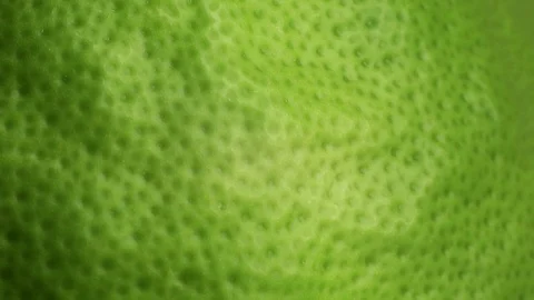 The texture of the peel of citrus. Macro. Stock Footage 116614097