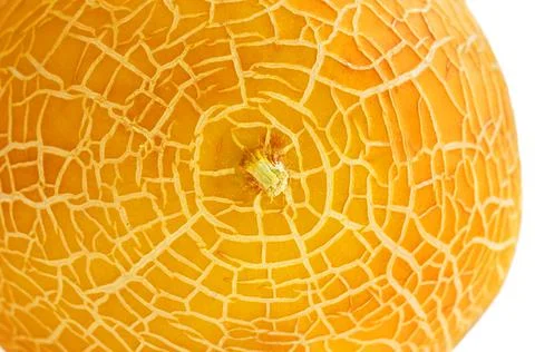 The texture of the peel of a yellow melon close-up. Selective focus Stock Photos