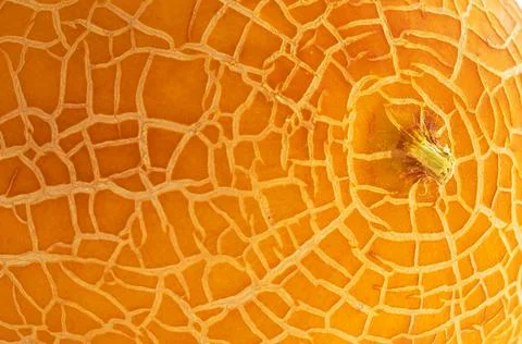 The texture of the peel of a yellow melon close-up. Selective focus, defocus Stock Photos