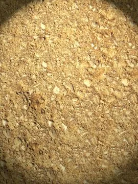 Texture Stock Photos