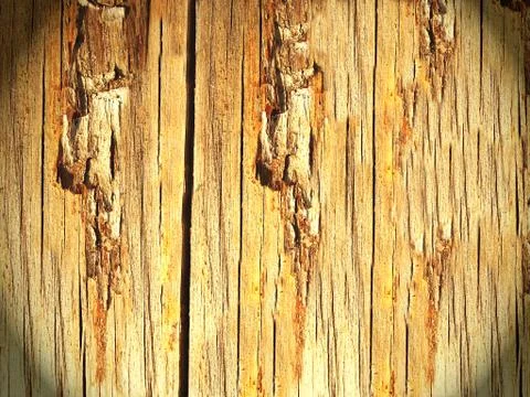 Texture Stock Photos