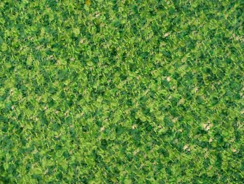 Texture Stock Photos