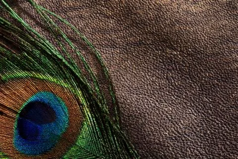 Texture Stock Photos