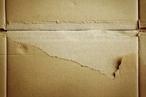 Texture Stock Photos