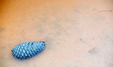 Texture Stock Photos