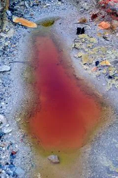 Texture Stock Photos