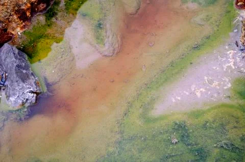 Texture Stock Photos