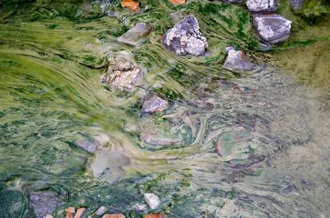 Texture Stock Photos