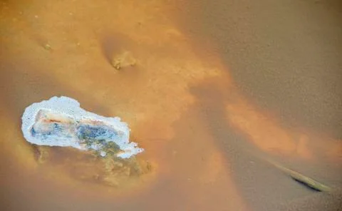 Texture Stock Photos