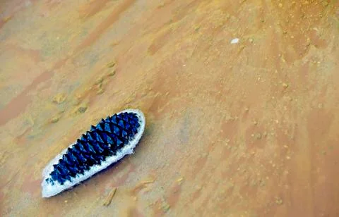 Texture Stock Photos