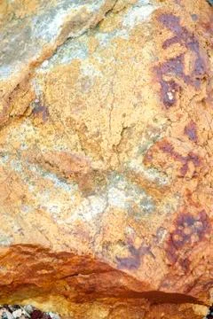 Texture Stock Photos