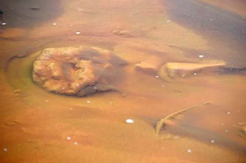 Texture Stock Photos